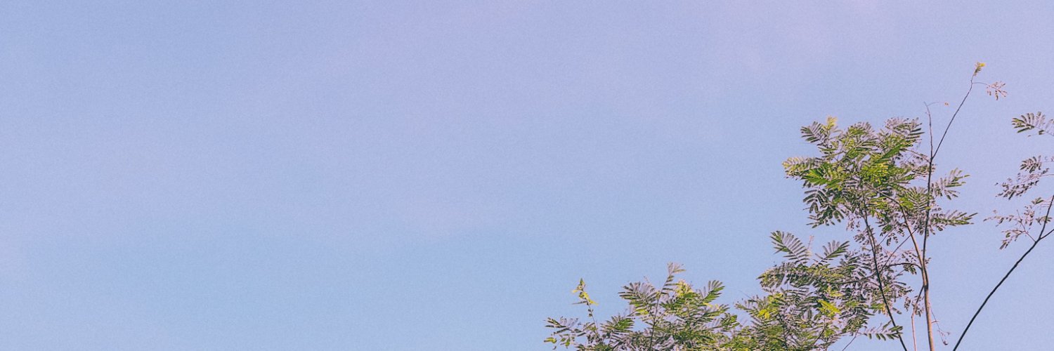 rawrliaa's profile banner image