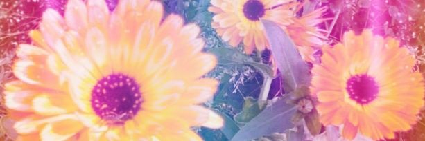 AkissiaAD's profile banner image