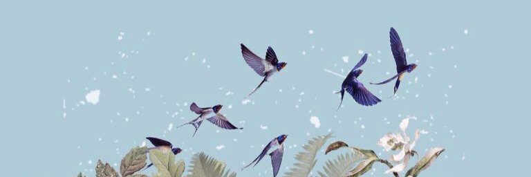 justkpopped's profile banner image