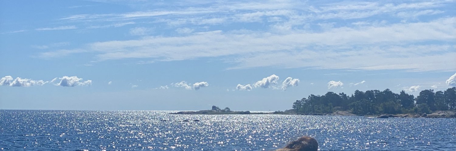 Therese Karlsson banner