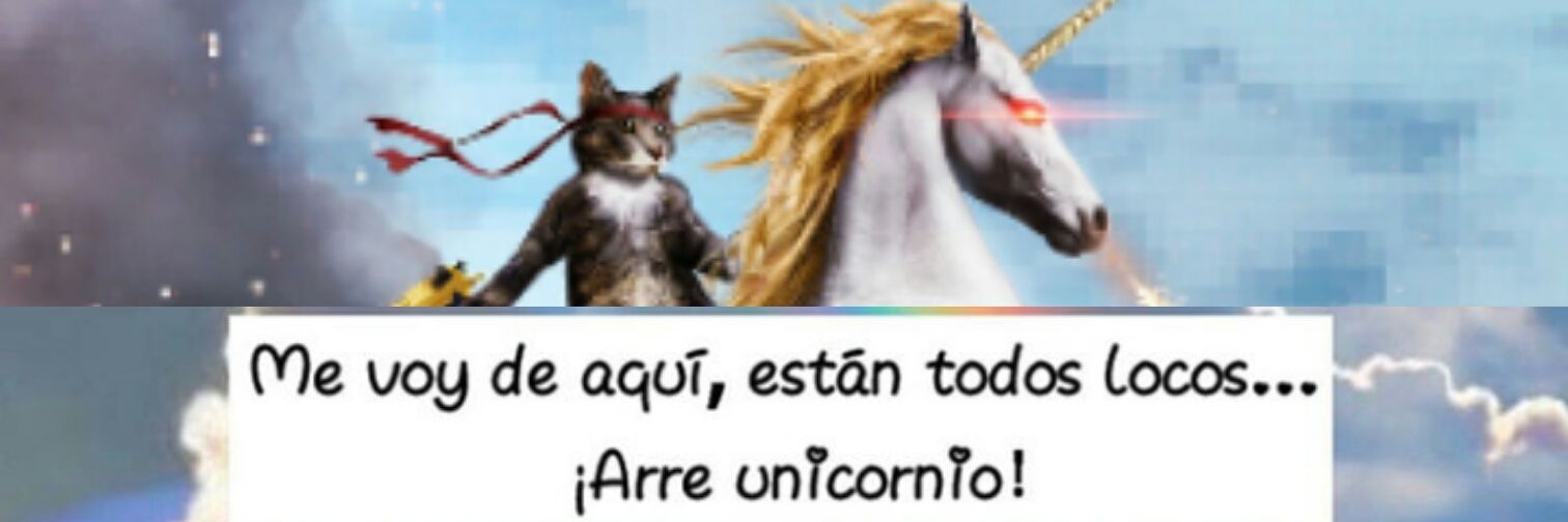 laumm14's profile banner image