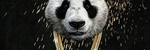 Fredy banner
