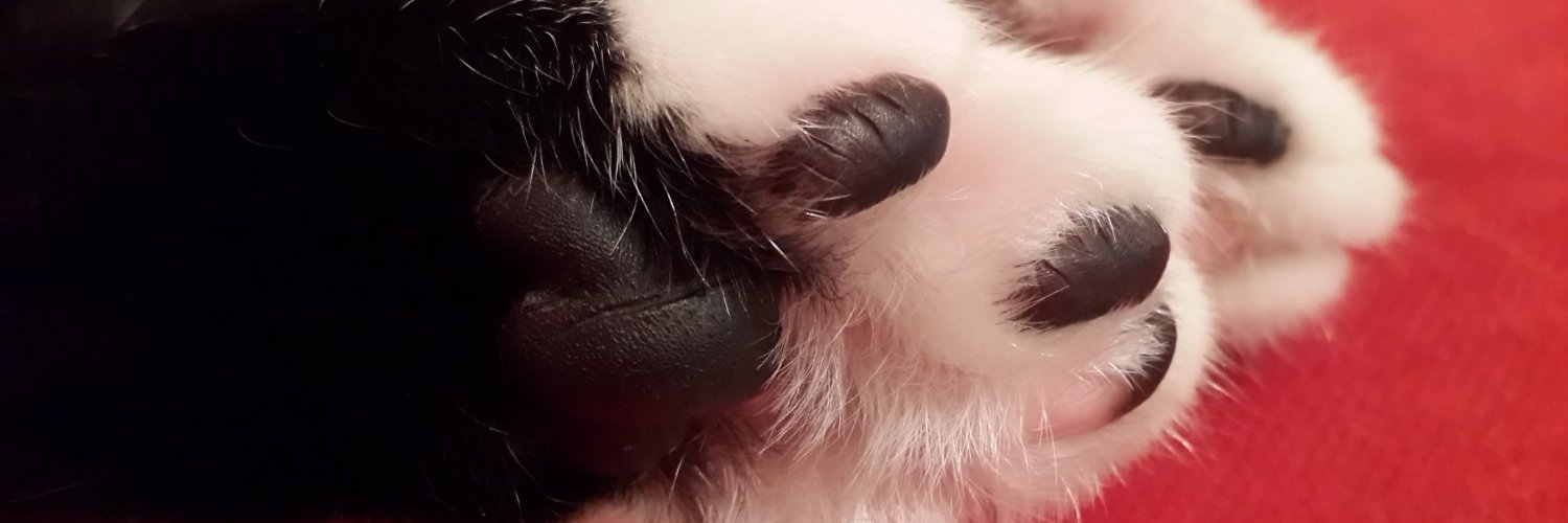 nunucitcit's profile banner image