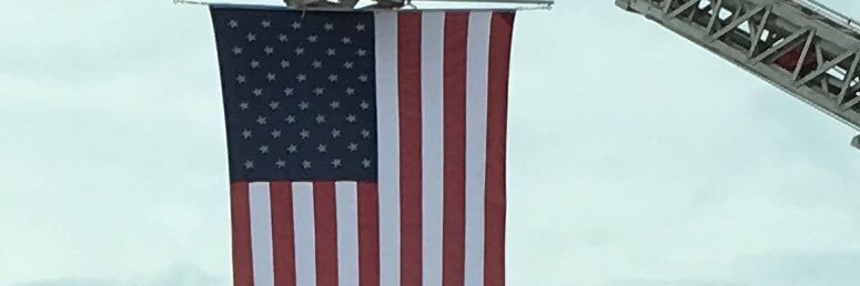 Paula Dubites banner