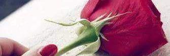 Pardeep9888Insa's profile banner image