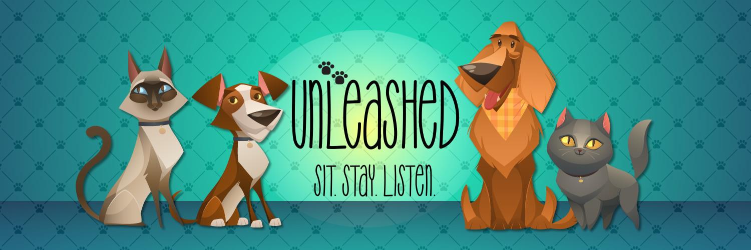 UnleashedOnAir's profile banner image