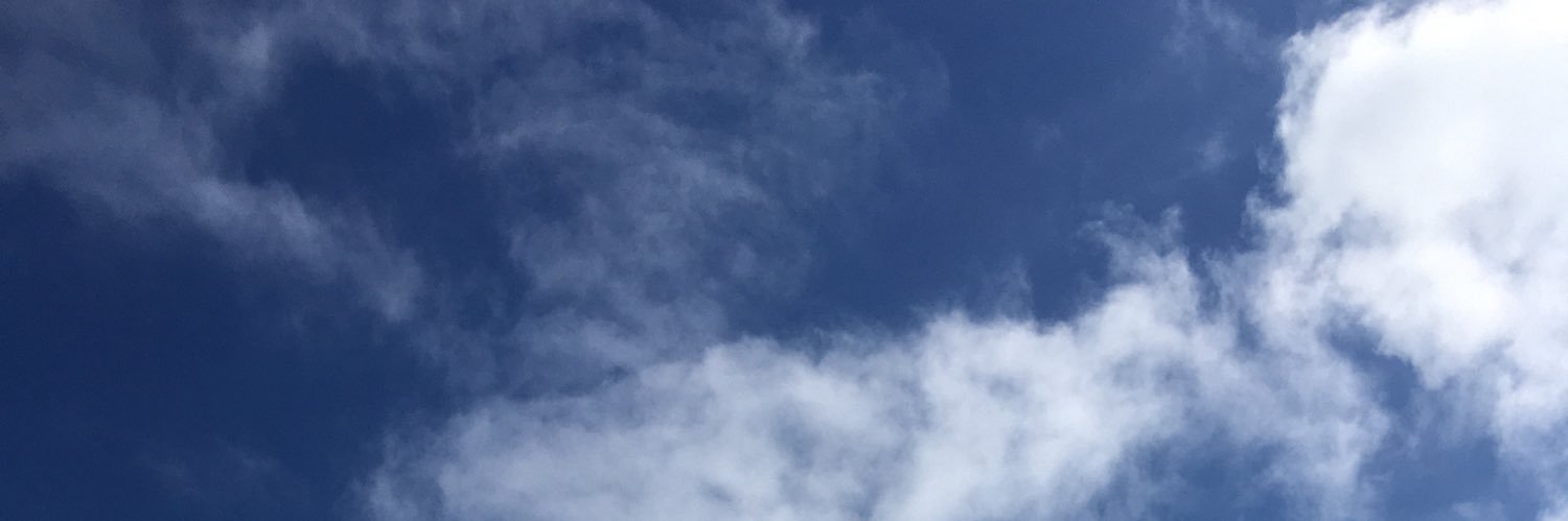 MagdalenPeel's profile banner image