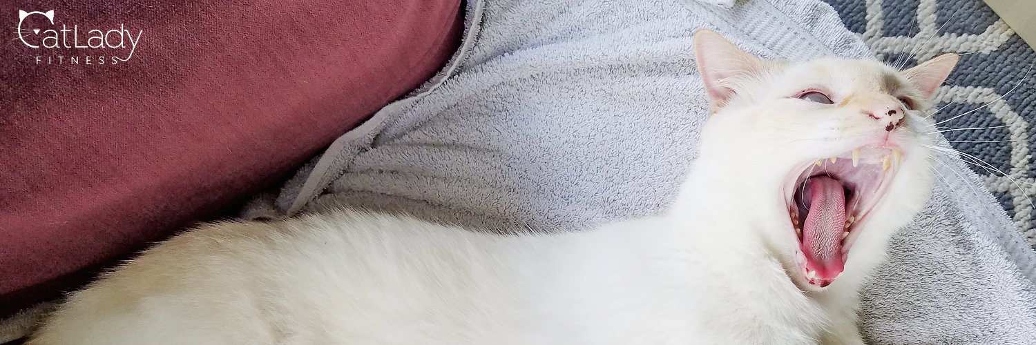 jazamina's profile banner image