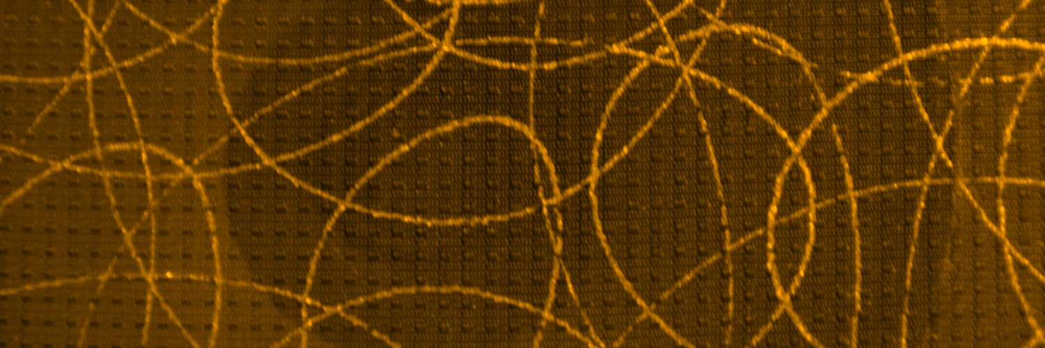 Stìobhan Ell banner