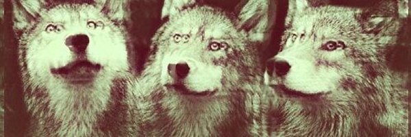 Seraa_A Profile Banner