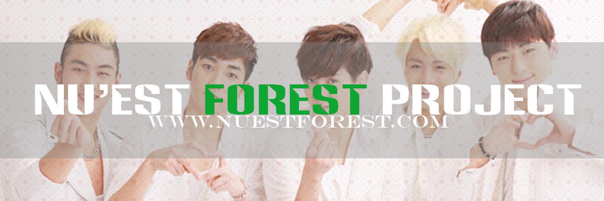 nuestforest's profile banner image