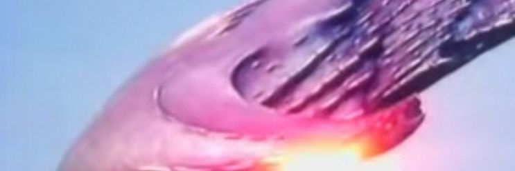 DankConfessorCabal banner