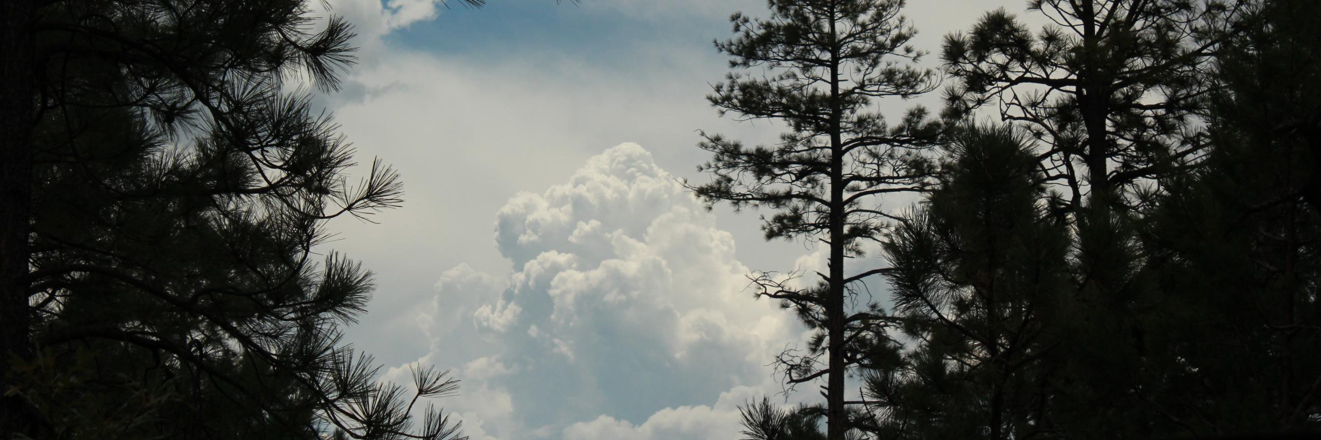 TaylorAnything's profile banner image