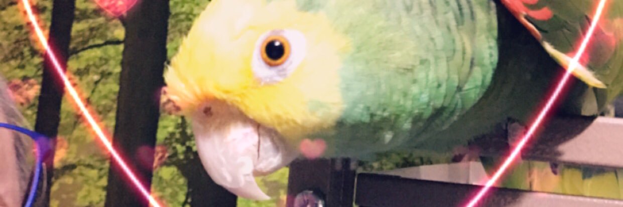 MamaZonZ's profile banner image