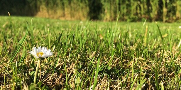 manoonnnn_'s profile banner image