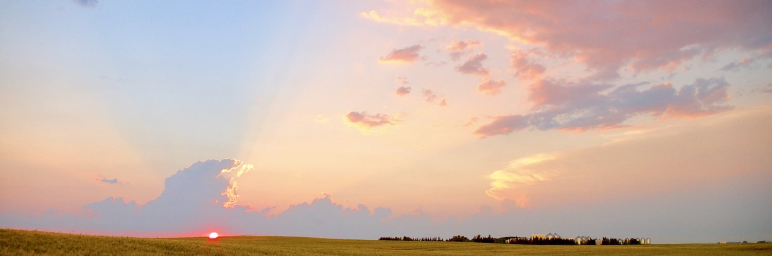 Melissa Turetsky banner