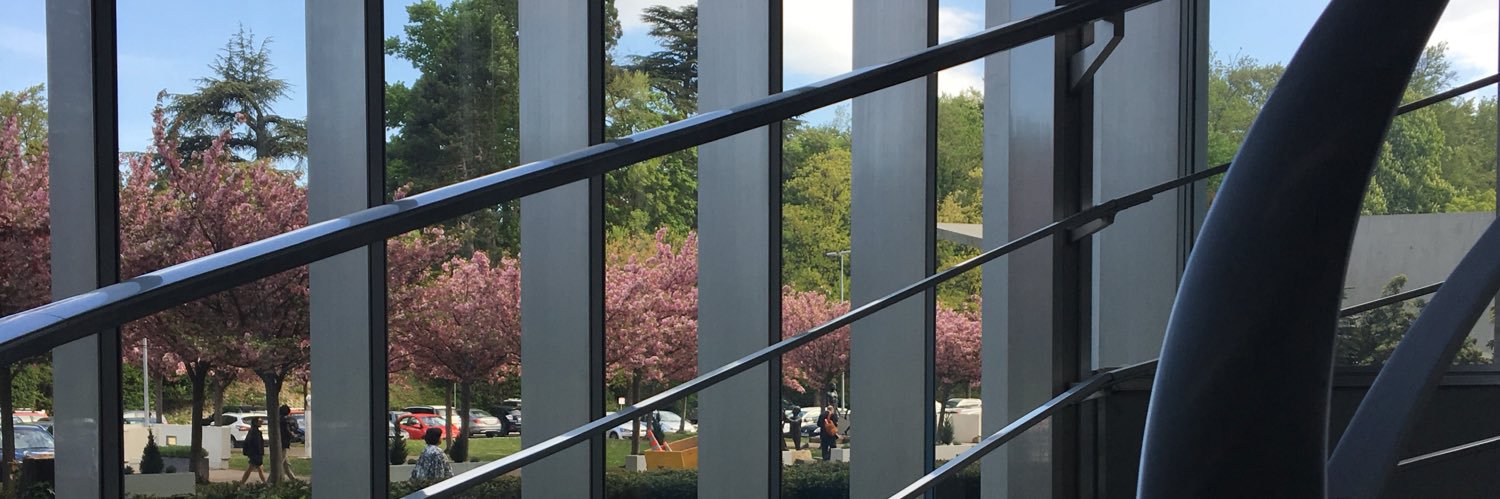 Ben Downs Lane banner