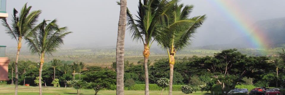 Courtney Brown banner