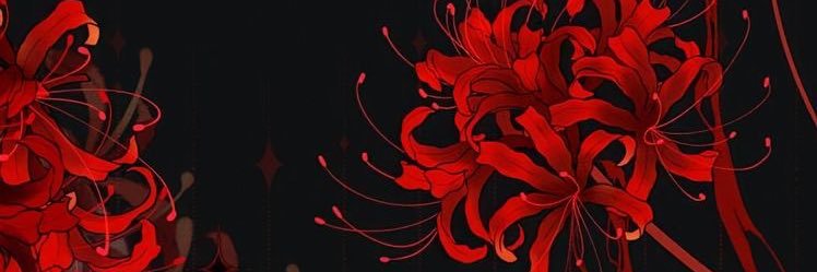 misskattv's profile banner image