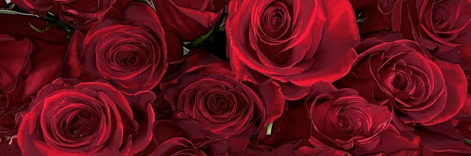 Lulwa_N's profile banner image