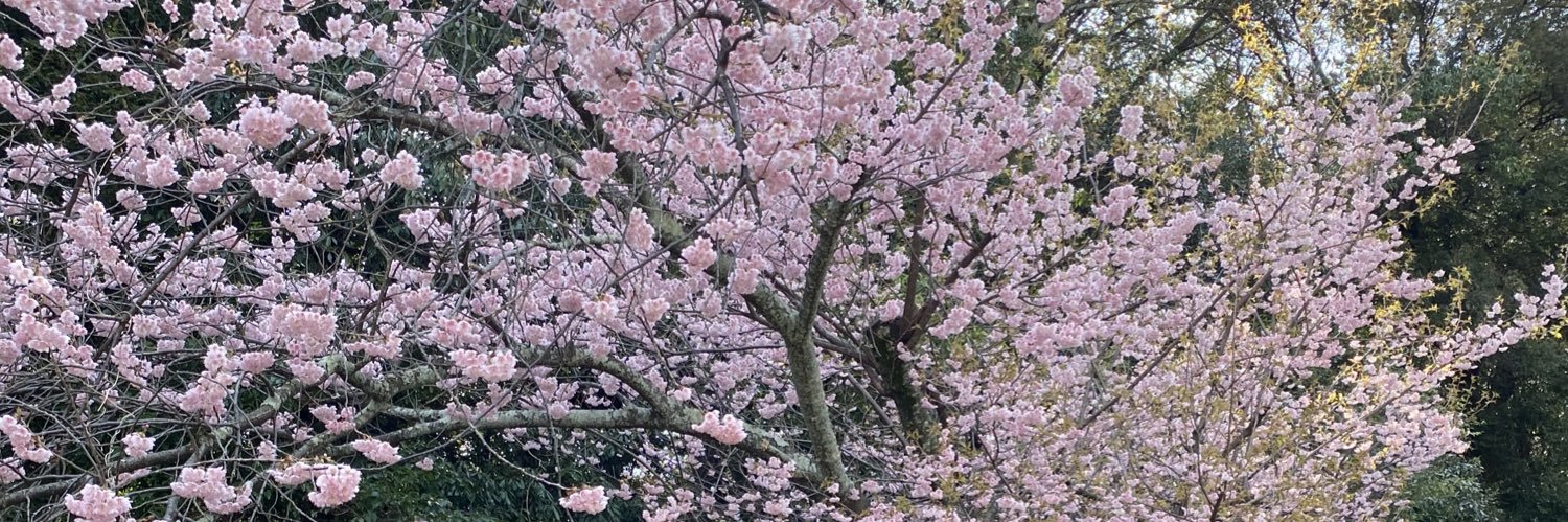 スナックＳＵＮ banner