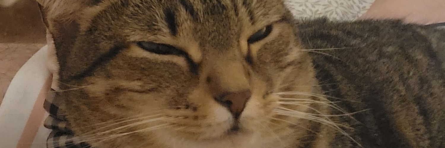 JediMasterRed's profile banner image