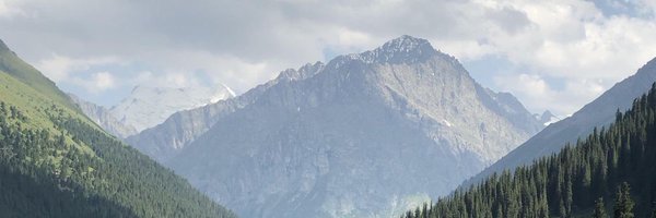 pntpim_ Profile Banner