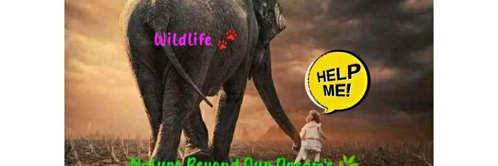 swathika301's profile banner image