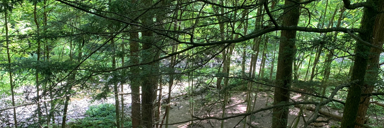 deadbeatlungs's profile banner image