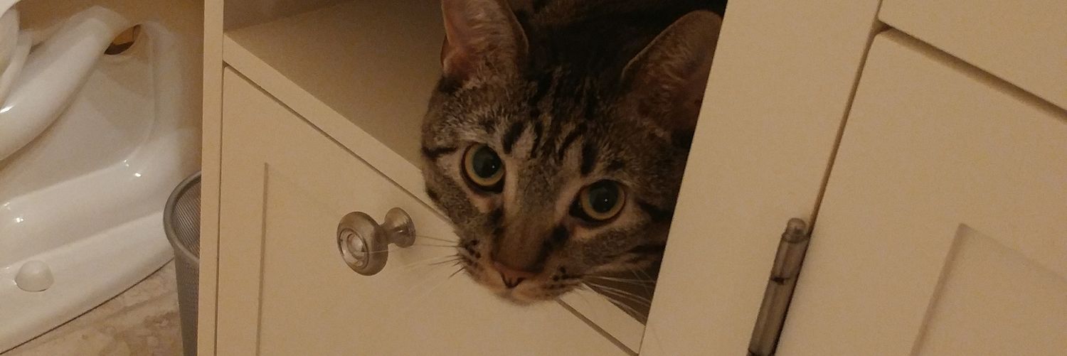 yoliandaU's profile banner image