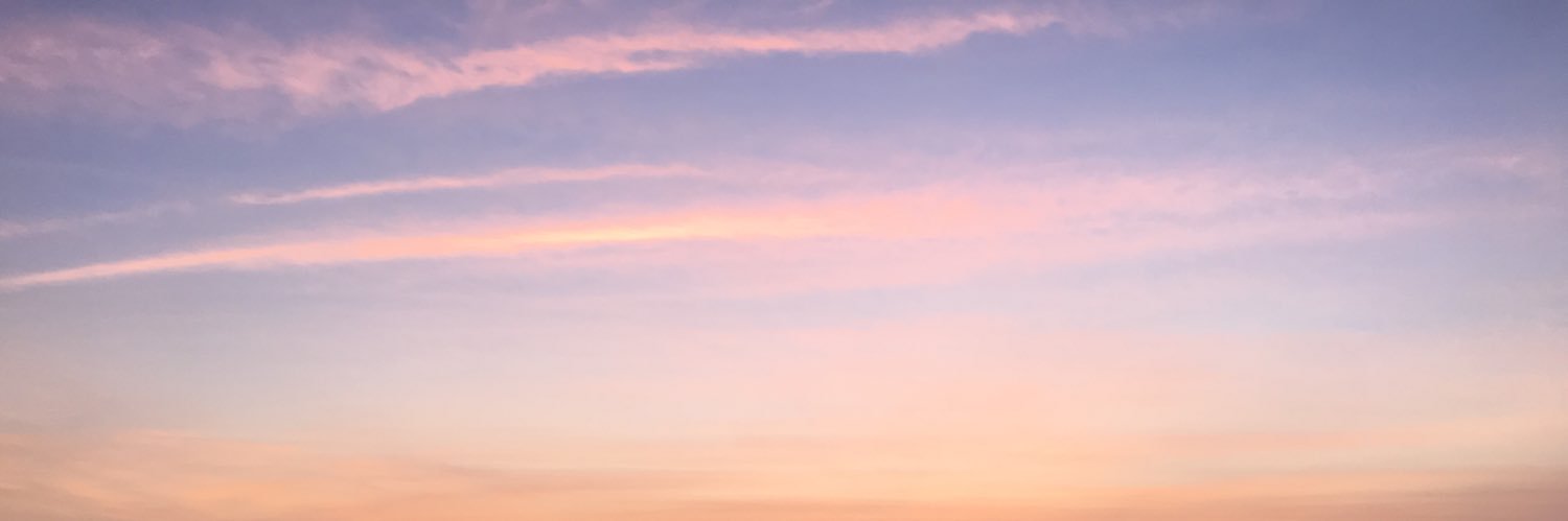 evy_mn's profile banner image