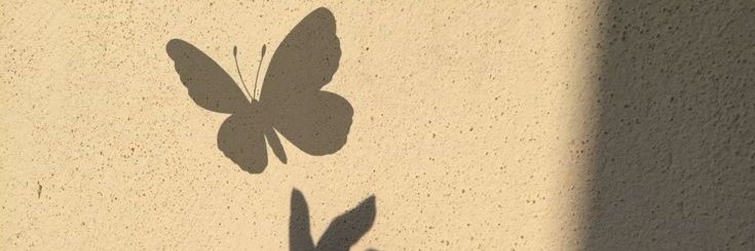 ayatarek_1's profile banner image