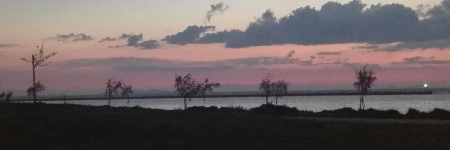 ElenaLmp's profile banner image