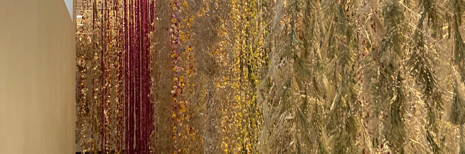 kiaaari_'s profile banner image