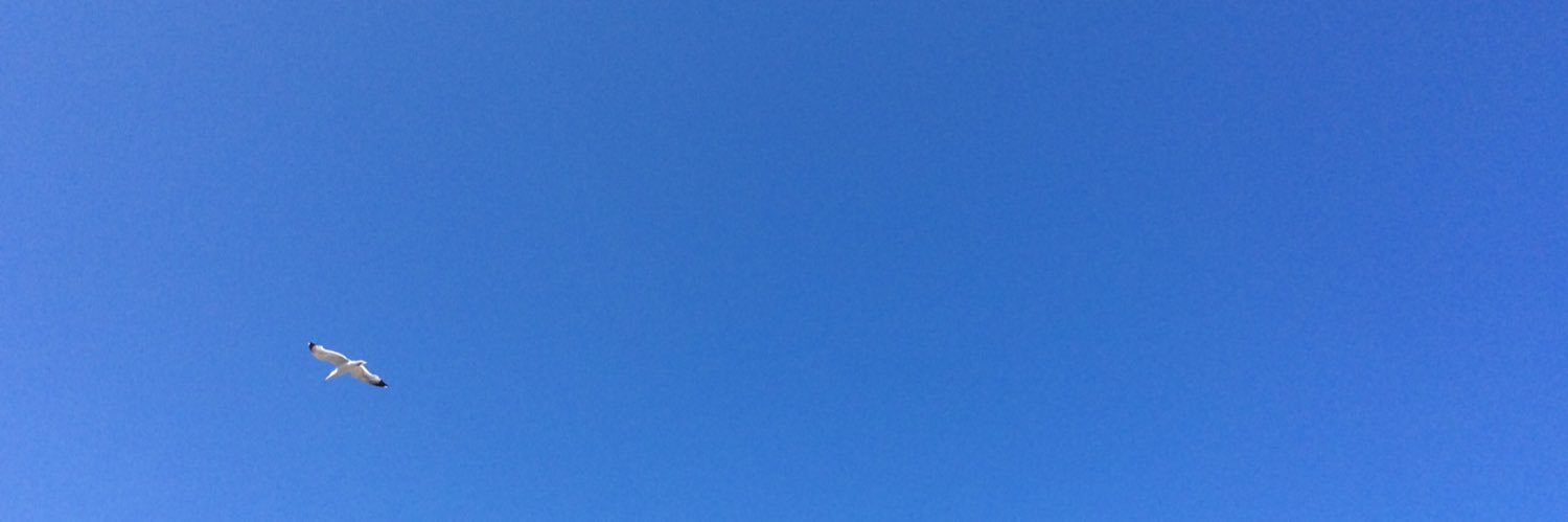 Nalan Kamil 🇹🇷 banner