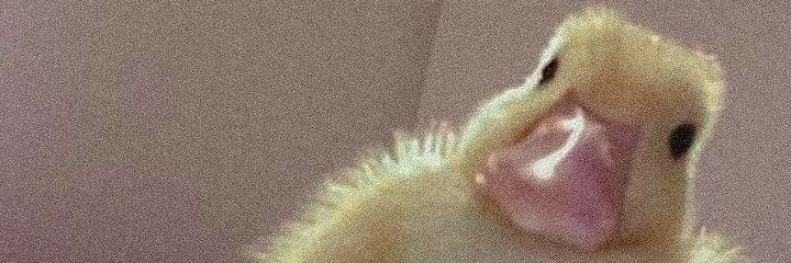 DanChristofer's profile banner image