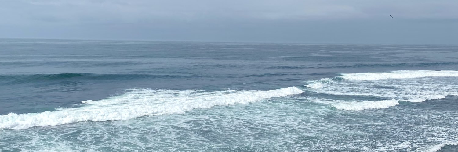salsollasido's profile banner image