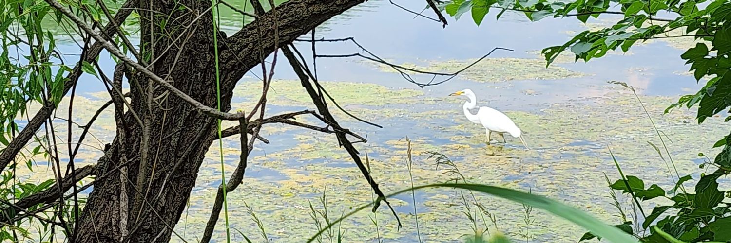 hgeorge's profile banner image