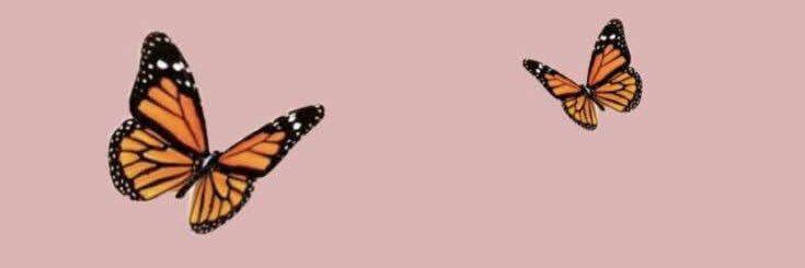 camsant_'s profile banner image