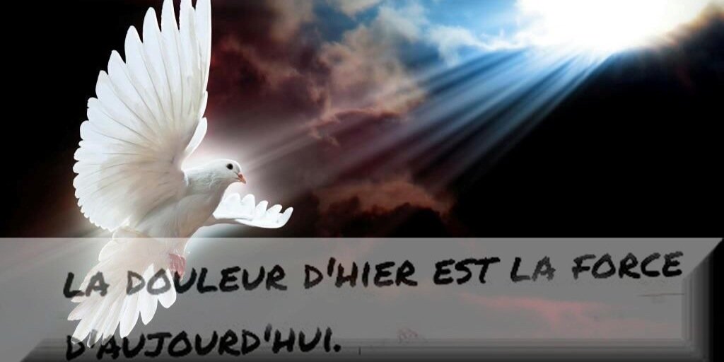 cedo_k's profile banner image