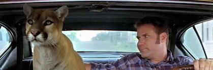 peytonwill_'s profile banner image
