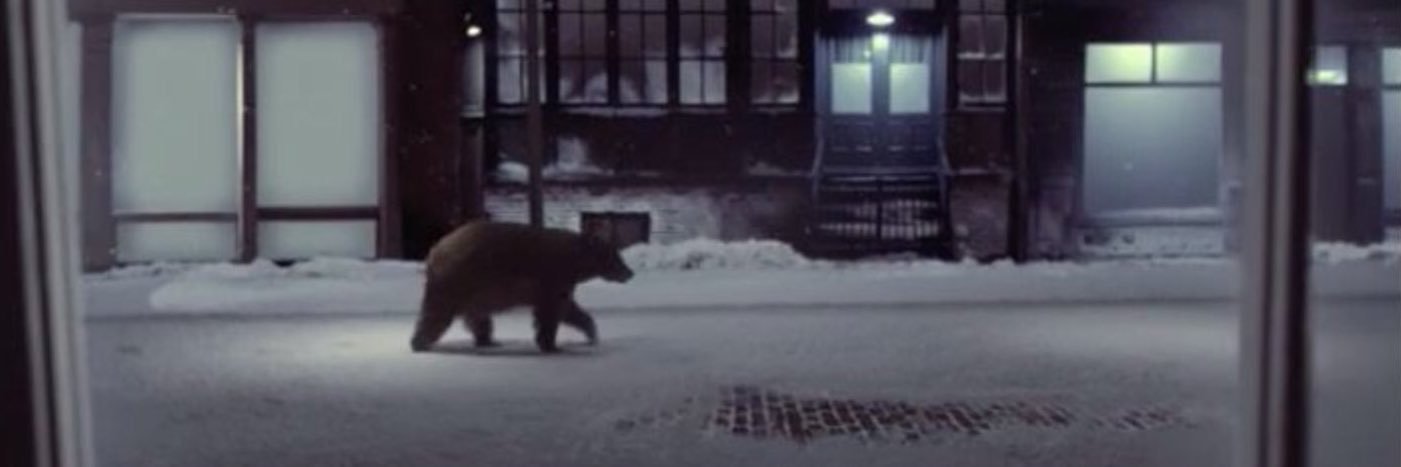 tschwarzman's profile banner image