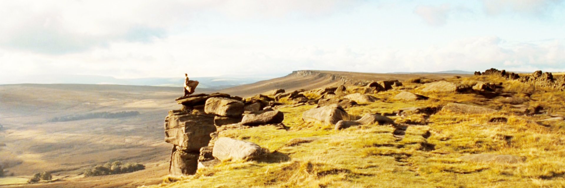 sunrayravine's profile banner image