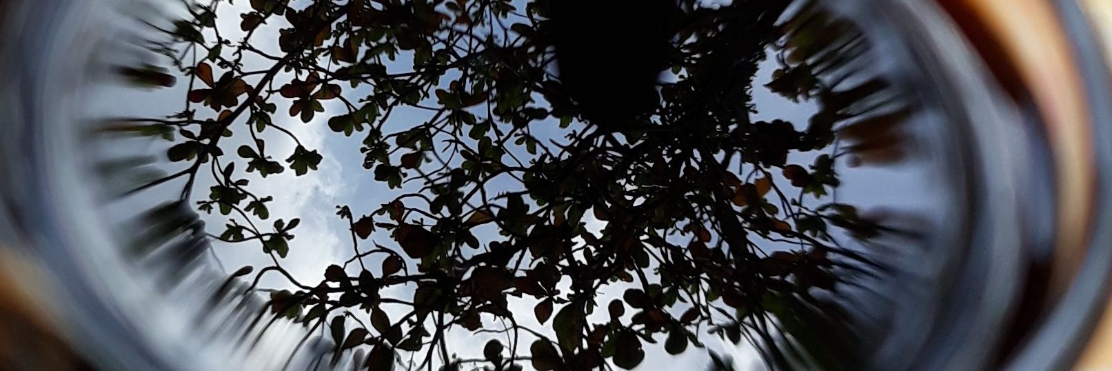 addt19's profile banner image