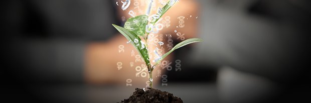 Fernando Derossi banner