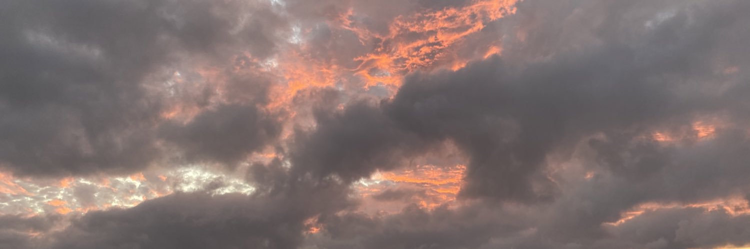 _elianarose's profile banner image