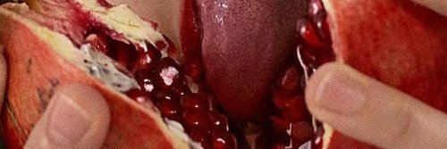 orchid in the fridge banner