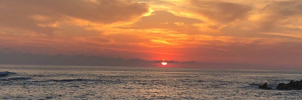 Zavaleta_albert's profile banner image