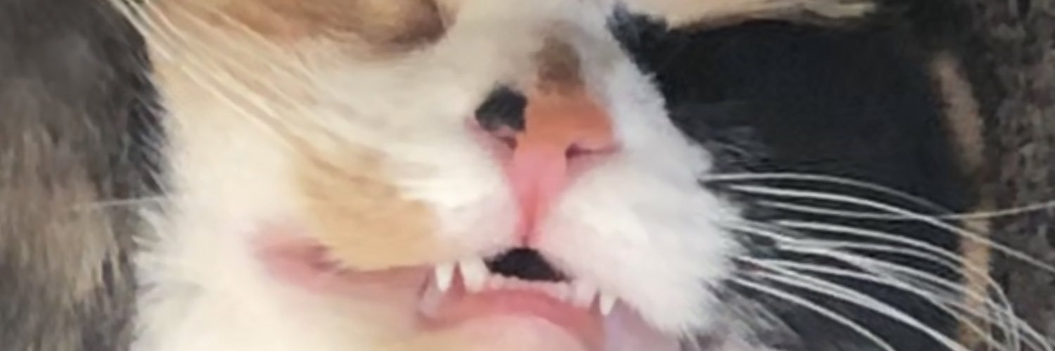 leep0e's profile banner image