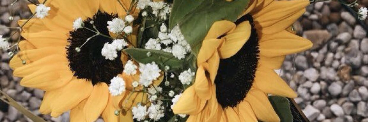~🦥 banner